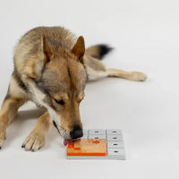 Individuele Pawzler: Terra